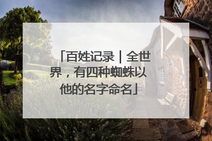 百姓记录｜全世界，有四种蜘蛛以他的名字命名