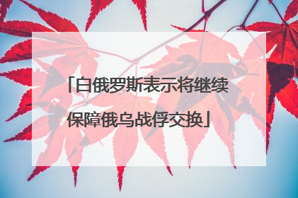 白俄罗斯表示将继续保障俄乌战俘交换