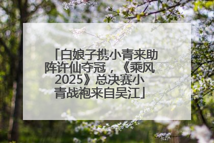 白娘子携小青来助阵许仙夺冠，《乘风2025》总决赛小青战袍来自吴江