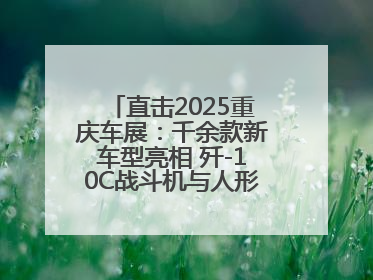 直击2025重庆车展：千余款新车型亮相 歼-10C战斗机与人形机器人引关注