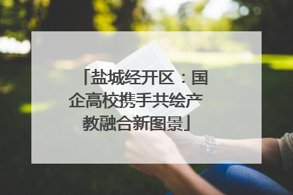 盐城经开区：国企高校携手共绘产教融合新图景