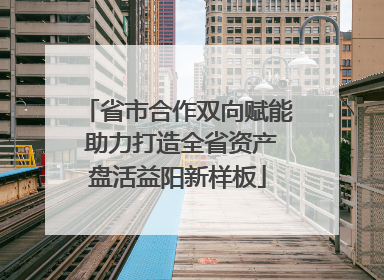 省市合作双向赋能 助力打造全省资产盘活益阳新样板
