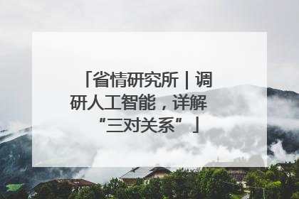 省情研究所｜调研人工智能，详解“三对关系”