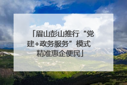 眉山彭山推行“党建+政务服务”模式 精准惠企便民