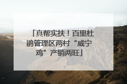 真帮实扶！百里杜鹃管理区两村“威宁鸡”产销两旺