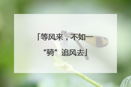 等风来，不如一“骑”追风去