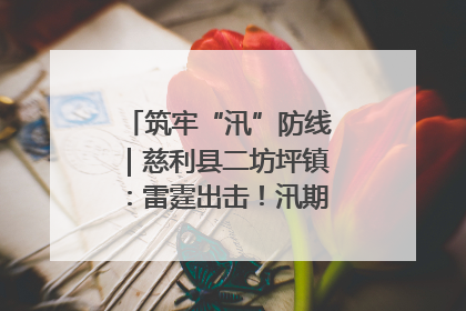 筑牢“汛”防线｜慈利县二坊坪镇：雷霆出击！汛期捕鱼被紧急叫停