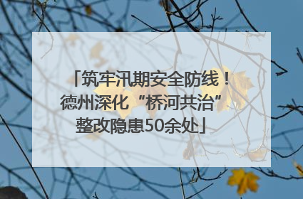 筑牢汛期安全防线！德州深化“桥河共治”整改隐患50余处