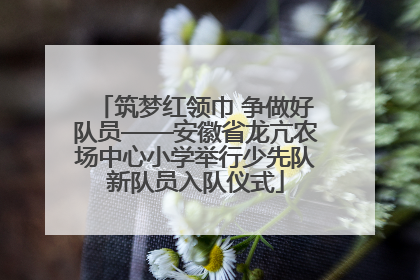 筑梦红领巾 争做好队员——安徽省龙亢农场中心小学举行少先队新队员入队仪式
