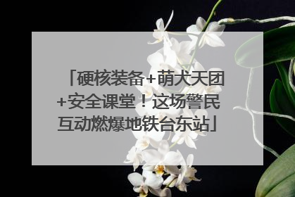 硬核装备+萌犬天团+安全课堂！这场警民互动燃爆地铁台东站