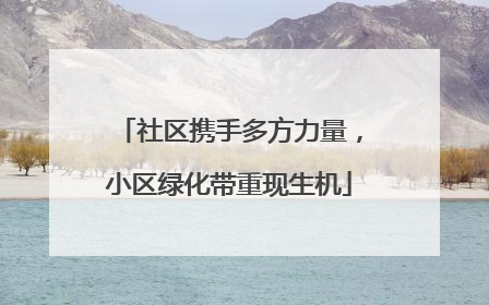 社区携手多方力量，小区绿化带重现生机