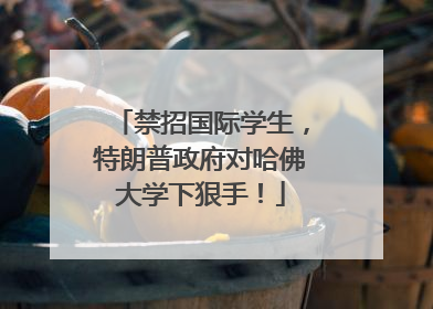 禁招国际学生，特朗普政府对哈佛大学下狠手！