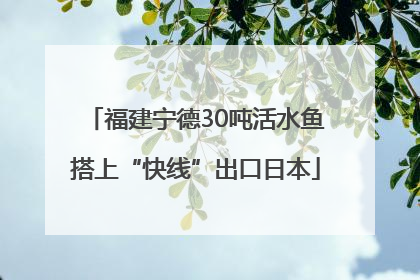 福建宁德30吨活水鱼搭上“快线”出口日本