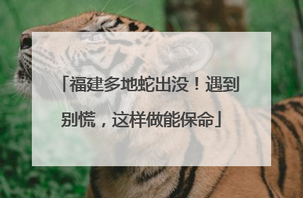 福建多地蛇出没！遇到别慌，这样做能保命