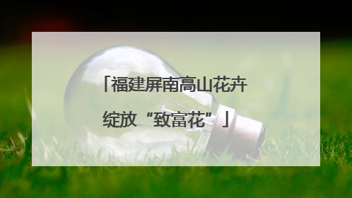 福建屏南高山花卉绽放“致富花”