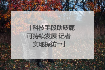 科技手段助麋鹿可持续发展 记者实地探访→