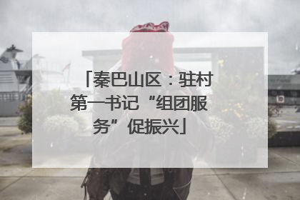 秦巴山区：驻村第一书记“组团服务”促振兴