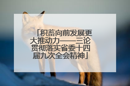 积蓄向前发展更大推动力——三论贯彻落实省委十四届九次全会精神