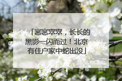 窸窸窣窣，长长的黑影一闪而过！北京有住户家中蛇出没