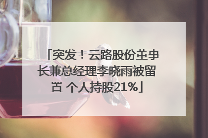 突发！云路股份董事长兼总经理李晓雨被留置 个人持股21%