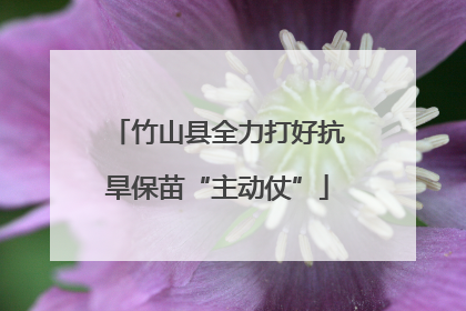 竹山县全力打好抗旱保苗“主动仗”