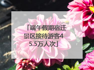 端午假期宿迁景区接待游客45.5万人次
