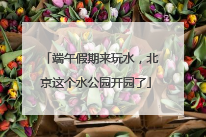 端午假期来玩水，北京这个水公园开园了