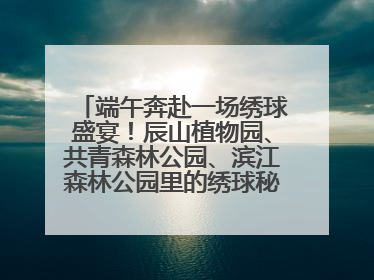 端午奔赴一场绣球盛宴！辰山植物园、共青森林公园、滨江森林公园里的绣球秘境在这里