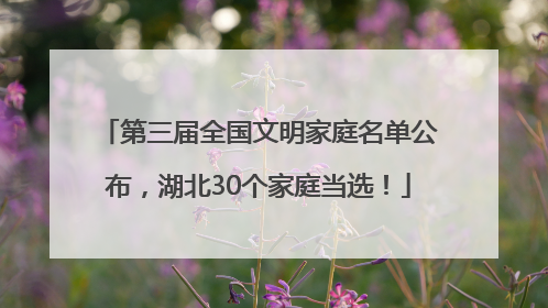 第三届全国文明家庭名单公布，湖北30个家庭当选！