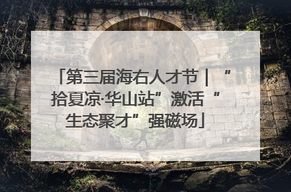 第三届海右人才节｜“拾夏凉·华山站”激活“生态聚才”强磁场