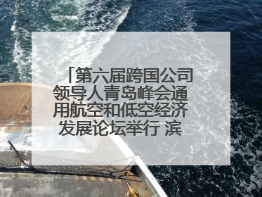 第六届跨国公司领导人青岛峰会通用航空和低空经济发展论坛举行 滨州市全方位推介低空经济发展优势