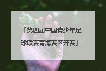 第四届中国青少年足球联赛青海赛区开赛