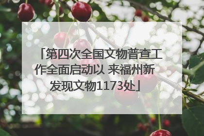 第四次全国文物普查工作全面启动以 来福州新发现文物1173处