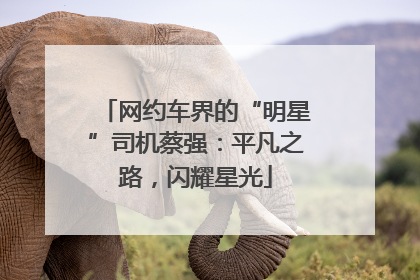 网约车界的“明星”司机蔡强：平凡之路，闪耀星光