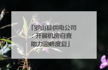 罗山县供电公司：开展机房自查 助力迎峰度夏