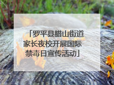 罗平县腊山街道家长夜校开展国际禁毒日宣传活动