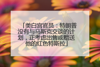 美白宫官员：特朗普没有与马斯克交谈的计划，正考虑出售或赠送他的红色特斯拉
