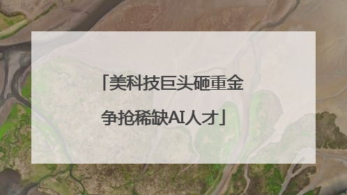 美科技巨头砸重金争抢稀缺AI人才