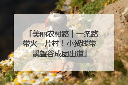 美丽农村路｜一条路带火一片村！小贺线带溪望谷成团出道