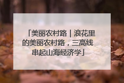 美丽农村路｜浪花里的美丽农村路，三高线串起山海经济学