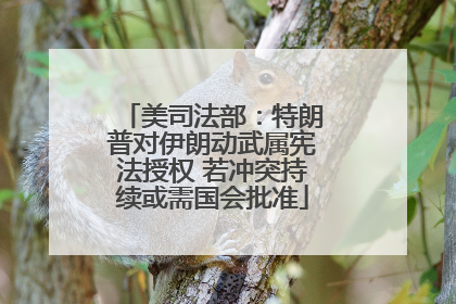 美司法部：特朗普对伊朗动武属宪法授权 若冲突持续或需国会批准