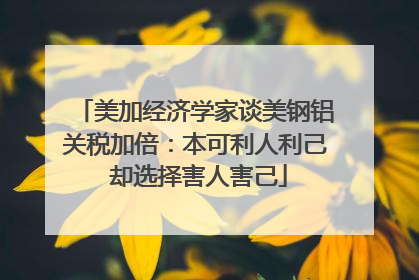 美加经济学家谈美钢铝关税加倍：本可利人利己 却选择害人害己