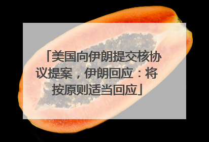 美国向伊朗提交核协议提案，伊朗回应：将按原则适当回应