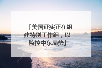 美国证实正在组建特别工作组，以监控中东局势