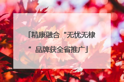 精康融合“无忧无棣”品牌获全省推广