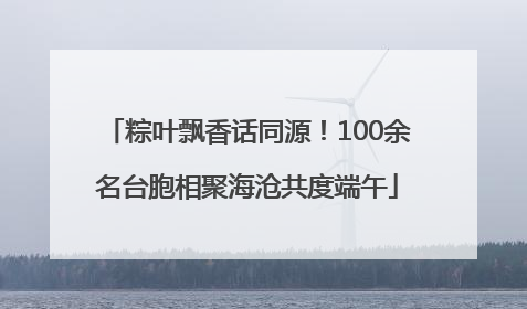 粽叶飘香话同源！100余名台胞相聚海沧共度端午