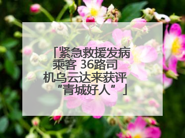 紧急救援发病乘客 36路司机乌云达来获评“青城好人”