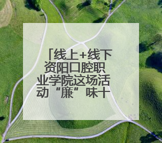 线上+线下 资阳口腔职业学院这场活动“廉”味十足