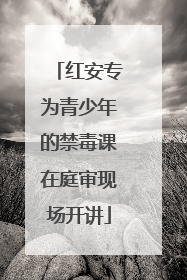 红安专为青少年的禁毒课在庭审现场开讲