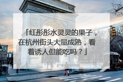 红彤彤水灵灵的果子，在杭州街头大量成熟，看着诱人但能吃吗？